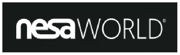 nesaWORLD logo